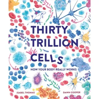 Thirty Trillion Cells
