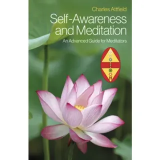 Self-Awareness and Meditation