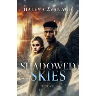 Shadowed Skies – A Novel