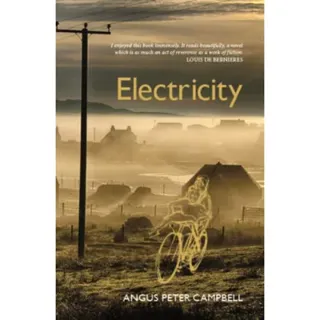 Electricity