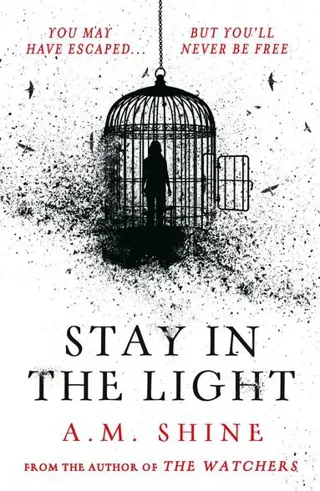 Stay in the Light