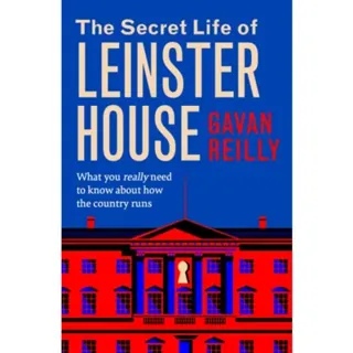 The Secret Life of Leinster House