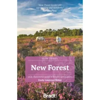 New Forest (Slow Travel)