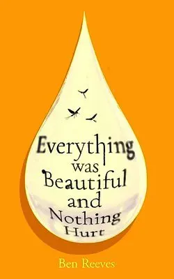 Everything was Beautiful and Nothing Hurt