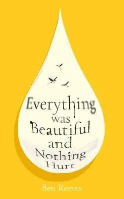 Everything was Beautiful and Nothing Hurt