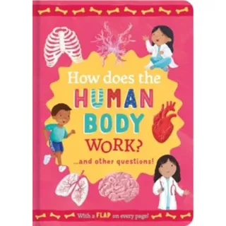 How Does the Human Body Work?