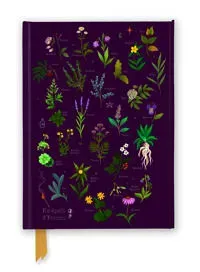 Anna Stead: For Spells & Potions (Foiled Journal)