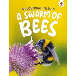 Discovering Insects: A Swarm of Bees