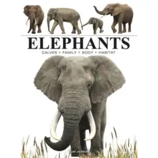 Elephants