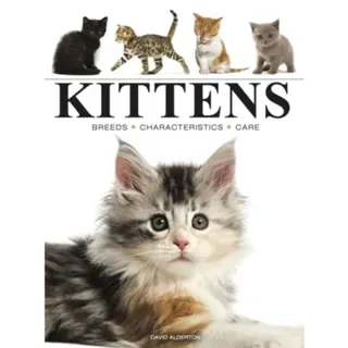 Kittens
