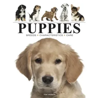 Puppies