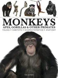 Monkeys