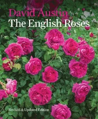 English roses