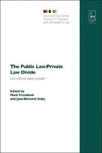 The Public Law/Private Law Divide