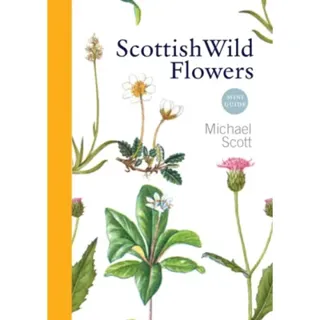 Scottish Wild Flowers