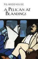 Pelican at blandings