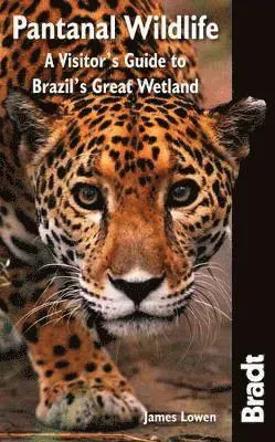 BRADT PANTANAL WILDLIFE