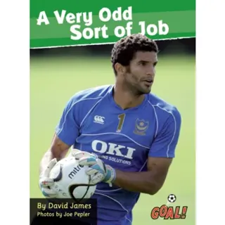 A Very Odd Sort of Job