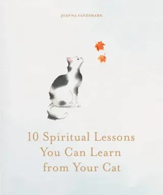 10 Spiritual Lessons You Can Learn from Your Cat