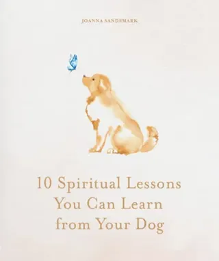 10 Spiritual Lessons You Can Learn from Your Dog