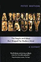 Terrible Beauty: A Cultural History of the Twentieth Century