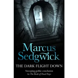 The Dark Flight Down
