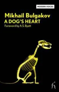 A dog's heart