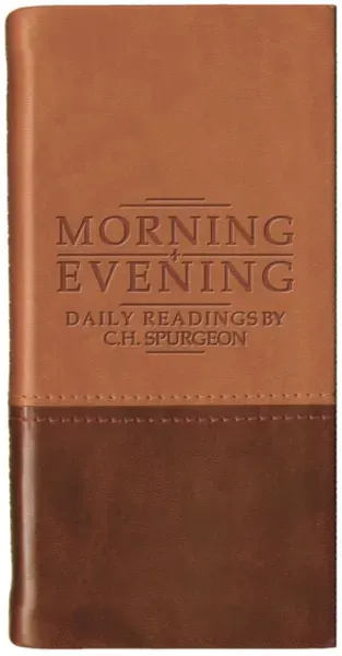 Morning And Evening - Matt Tan/Burgundy