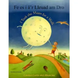 I Took the Moon for a Walk