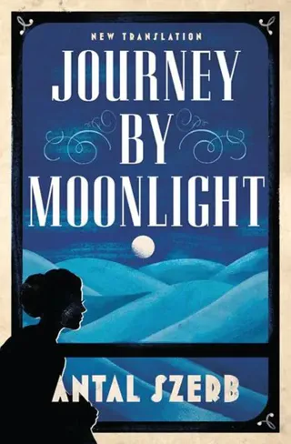 Journey by moonlight