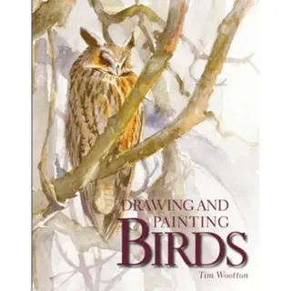 Drawing and Painting Birds