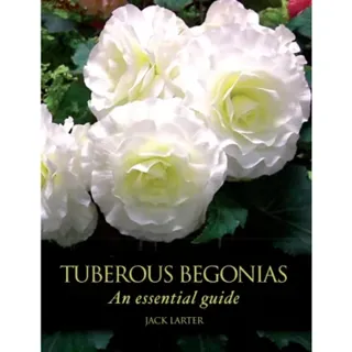 Tuberous Begonias