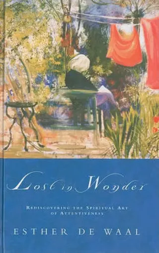 Lost in Wonder