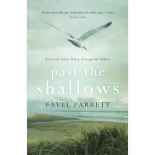 Past the Shallows