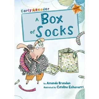 A Box of Socks