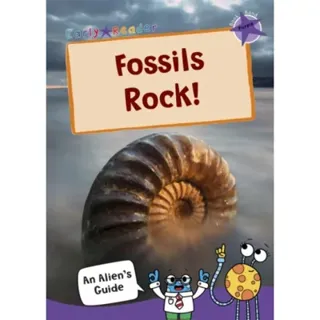 Fossils Rock!