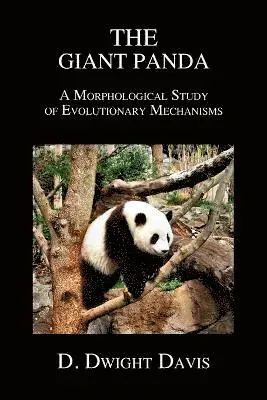 Giant Panda