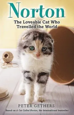 Norton, The Loveable Cat Who Travelled the World