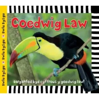 Cyfres Dwlu Dysgu: Coedwig Law