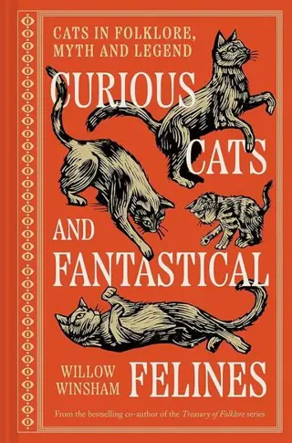 Curious Cats and Fantastical Felines