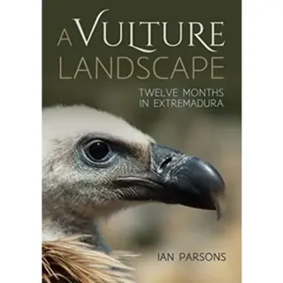 A Vulture Landscape