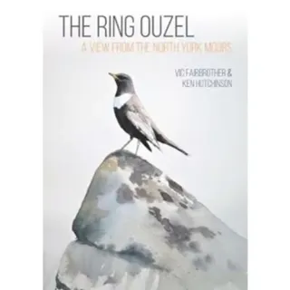 The Ring Ouzel