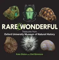 Rare & Wonderful