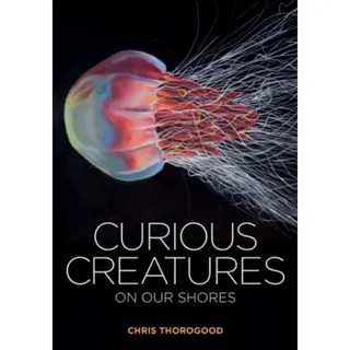 Curious Creatures on our Shores
