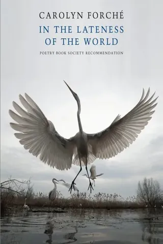 In the Lateness of the World