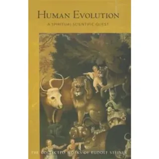 Human Evolution
