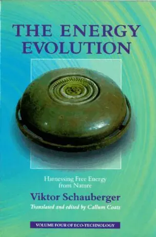The Energy Evolution