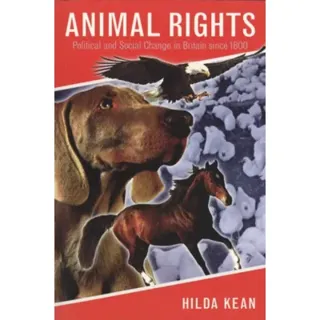Animal Rights