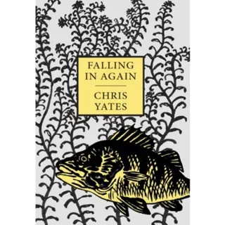 Falling in Again