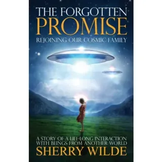 Forgotten Promise